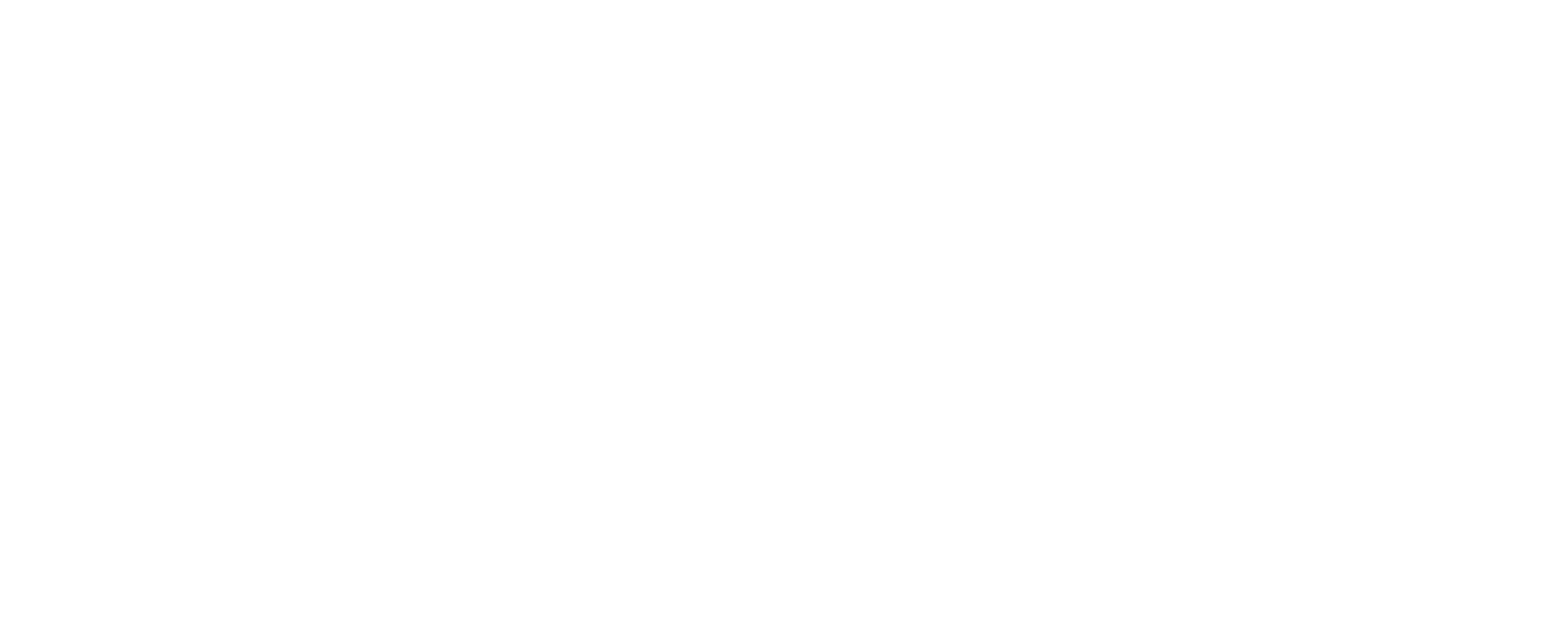 EDM Lavanderia de Tapetes